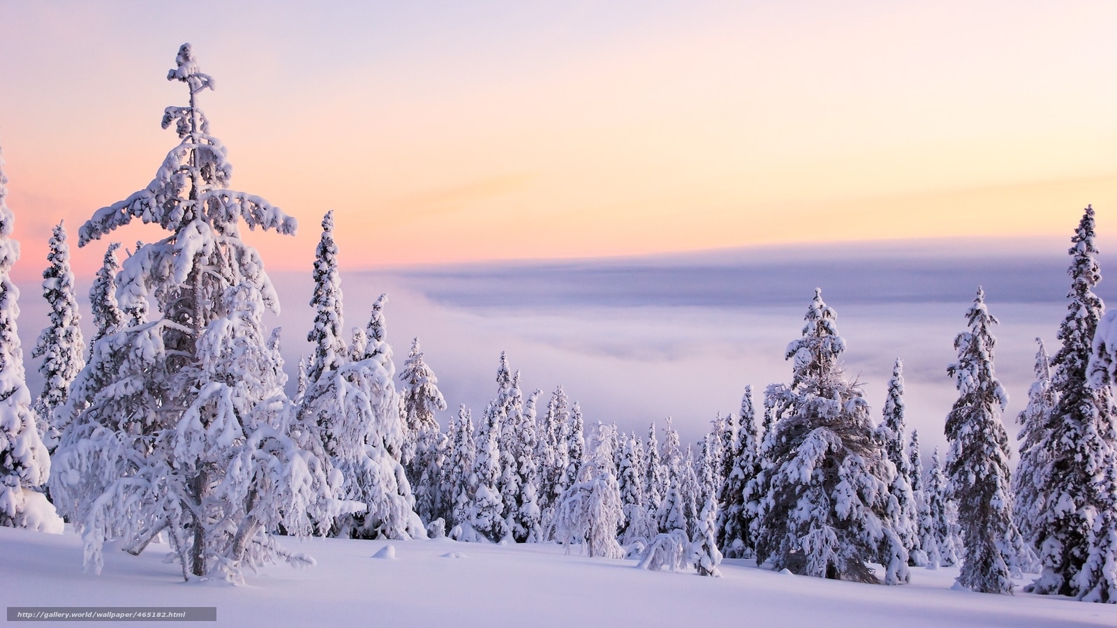 Willamette Pass Ski Resort in Lane County, Oregon