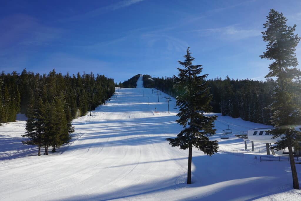 View from the Lounge at Willamette Pass