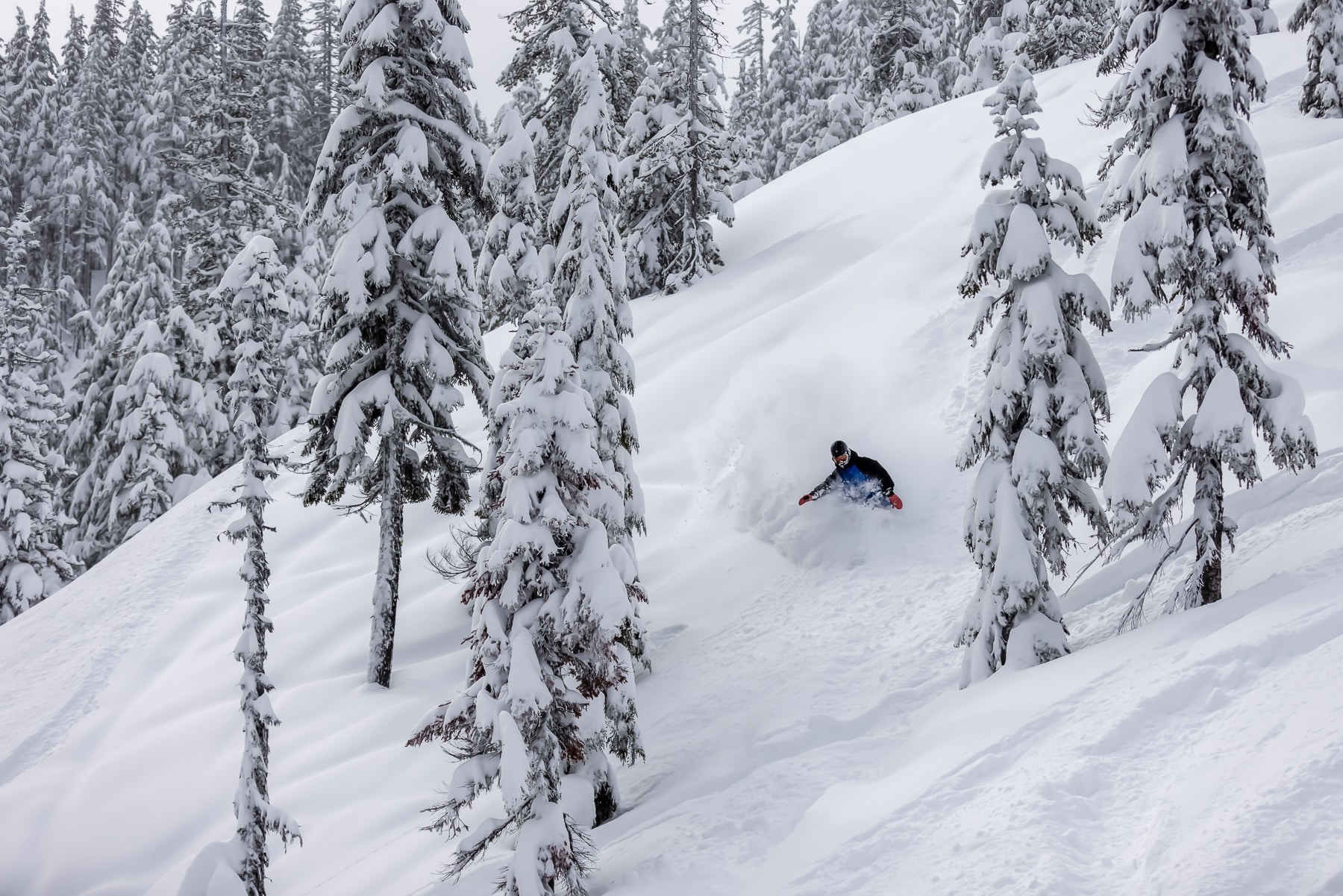 Willamette Pass Ski Resort - averages 430 inches of snowfall annually